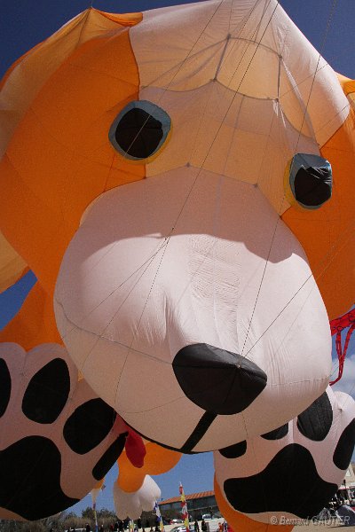 Festival Cerfs Volants Chatelaillon 2010_010.JPG